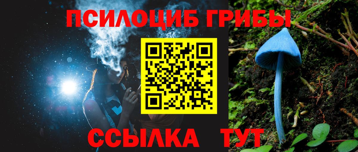 Галлюциногенные грибы прущие грибы Гусиноозёрск